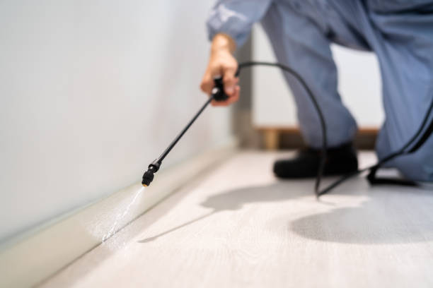 Licensed Pest Control service in Iron Mountain, MI - Show Me Pest Control