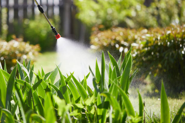 24/7 Emergency Ant Control experts in Iron Mountain, MI